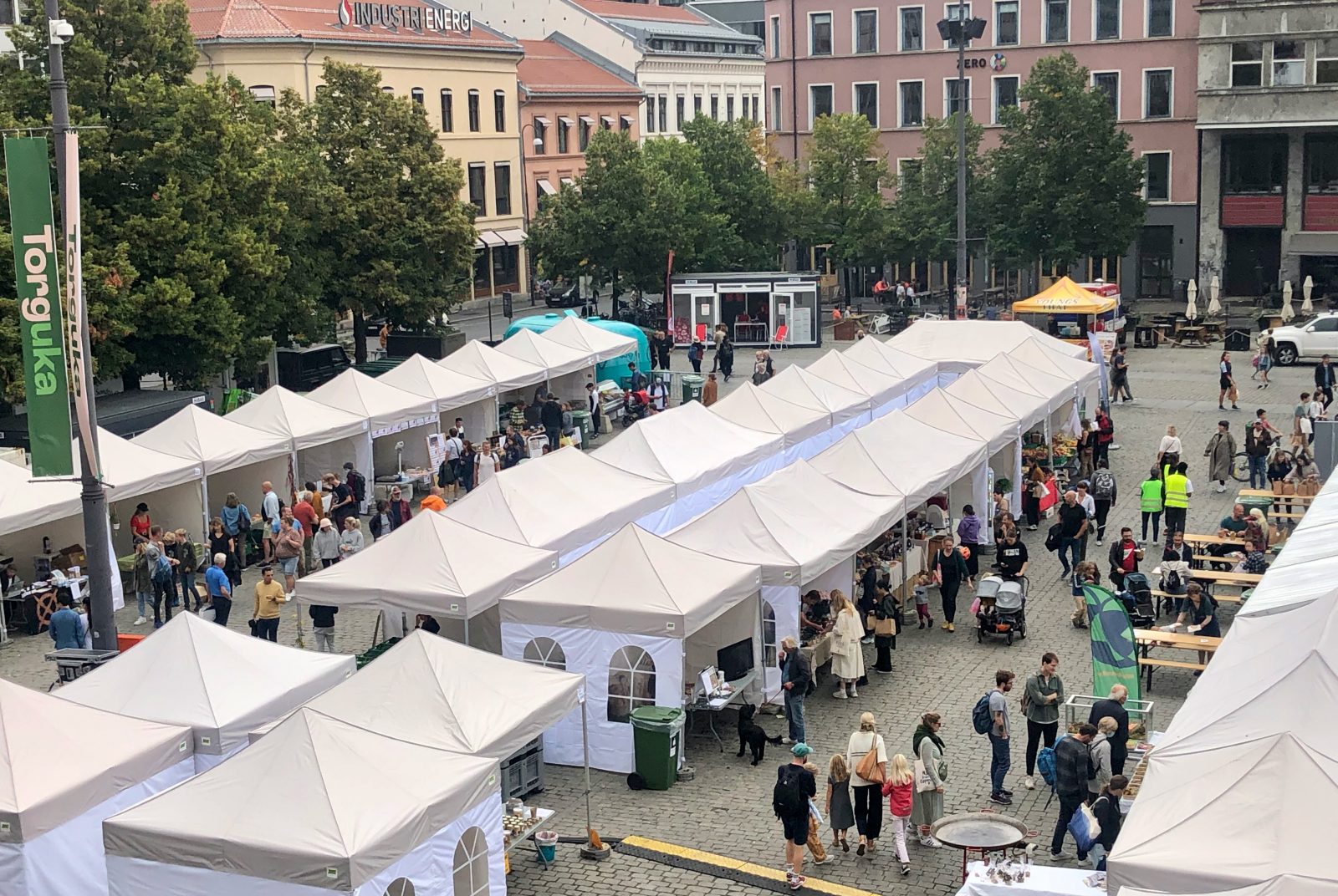 Rundt 40 produsenter tilknyttet Rekoringen fylte den ene halvdelen av Youngstorget.